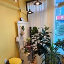 강동힐링스토리안마원 이미지