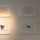 정찬부 공-이미지 이미지