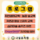 다일유치원 | 반정동 다일 유치원, 아이들이 빛나는 하루