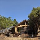 무릉도원면-42 이미지