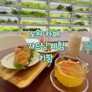이레팜 | 노원 카페 가드닝 체험 키팜 애견 동반 방문 후기