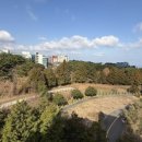 제주 첨단_꿈에그린 2단지 아파트 네이버블로그