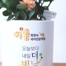 이룸최현숙국어전문학원 이미지