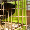 한스동물병원 이미지