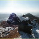 청솔 제356 차 구룡산,청남대 산행안내 및 신청 이미지