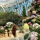 서울식물원 이미지