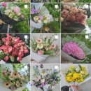 창조꽃집 이미지