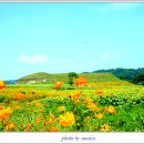 연천호로고루 이미지