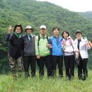 백운산약초