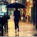 사부작사부작 이미지