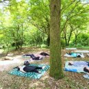 아로마숨명상 이미지