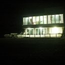 티나리안 이미지