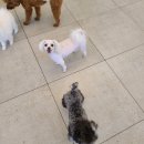 우다다 유치원 이미지