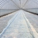 중열농장 이미지