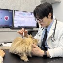 청구제일내과의원 이미지