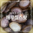 제주13月 | 제주 협재 금능 해수욕장 아이랑 조개잡기 해루질 스팟