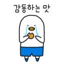 다은메드 이미지