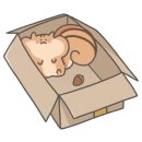 쉬즈헤어 이미지