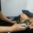 안양총판