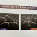 채움마취통증의학과의원 이미지