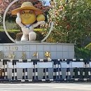 민원봉사과 옆 이미지