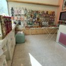 아띠앤펫 이미지