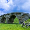 미내다리 이미지