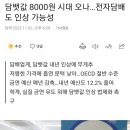 담뱃값 8000원 내년 인상 무게 전자담배도 인상 가능성 이미지