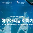 대전아쿠아리움 이미지
