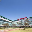 웰빙요가(실용) 이미지