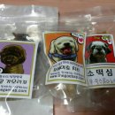 펫북(Pet Book) 이미지