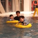 뽀로로&타요 테마파크 수영장 이미지