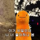 새살림 - 강북구 삼양로123길 31 | [잠실] 현대기물 박그릇 팝업 후기│박그릇 그릇 투어, 신혼 그릇, 남대문 매장 추천