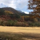 새재왕건식당 이미지