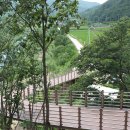 터닝포인트 카라반/캠핑 이미지