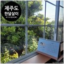 정다운세탁 | [제주도한달살이] 후기3(마지막) - 휴미락 단식원 힐링코스 한달 후 마음의 변화