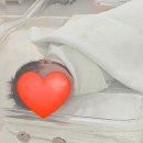 양수1 | [출산일기] 리베르여성병원 양수 터지고 응급 제왕절개 당일 후기 (김형선 원장님, 4.1kg 우량아 초음파...