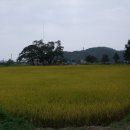 선흥(궁촌2리) 이미지