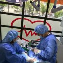 편안한 동물병원 이미지