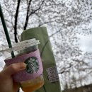 심천빌(롯데슈퍼) | 분당 이른둥이 산후도우미 추천! 베스트맘 분당성남점 :: 최장 4주(20일) 내돈내산 만족 이용 후기