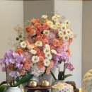 스튜디오알록