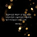흑암농장 네이버블로그