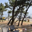 후정해수욕장 | 울진 후정해수욕장 차박 성지 후기 화장실, 샤워장 있음