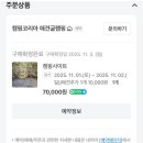 캠핑코리아 네이버블로그