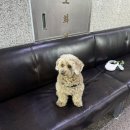 탄현하나이비인후과의원 이미지