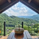 도심다원 이미지