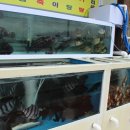 영생상가아파트1차 이미지