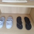 뉴월드카 이미지