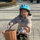 아동용 접이식 자전거 리버스 키즈(KIDS)/네발자전거삼천리, 18인치 자전거