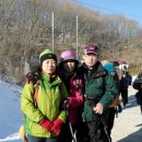 소티제로 이미지